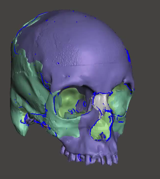 color skull